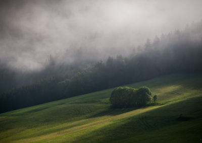 paysages Chilly morning in Méaudre , Vercors, France, Fall, automne Caving, landscape, woodland , photography, mist , brouillard